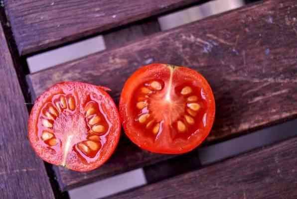 خطوات زراعة بذور الطماطم