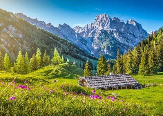 الحديقة الوطنية السويسرية  السياحة في سويسرا في شهر مارس