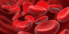 اشياء تسبب فقر الدم تعرف على اشهر ثلاث أسباب لفقر الدم