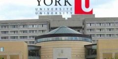 جامعة يورك في كندا  تعرف على شروط القبول في جامعة يورك