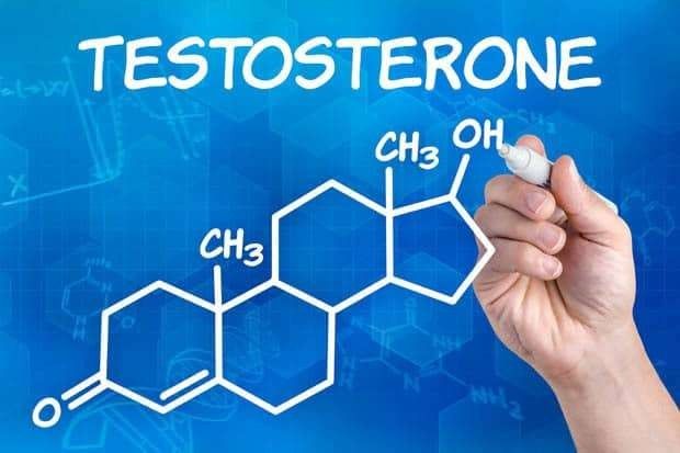 فوائد هرمون التستوستيرون  فوائد هرمون الذكورة